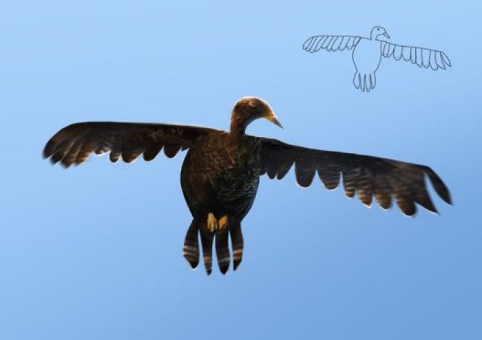 Dibujos infantiles hechos realidad: un artista holandés da vida a sus garabatos (FOTOS)