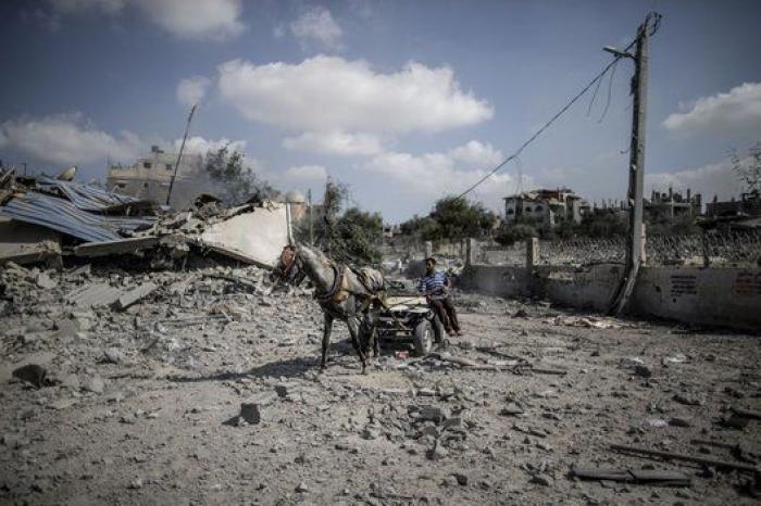 Gaza reducida a escombros: 19 fotos durante el día de tregua en la Franja