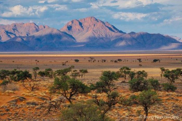 Cinco fotos imprescindibles que dejó la superluna rosa