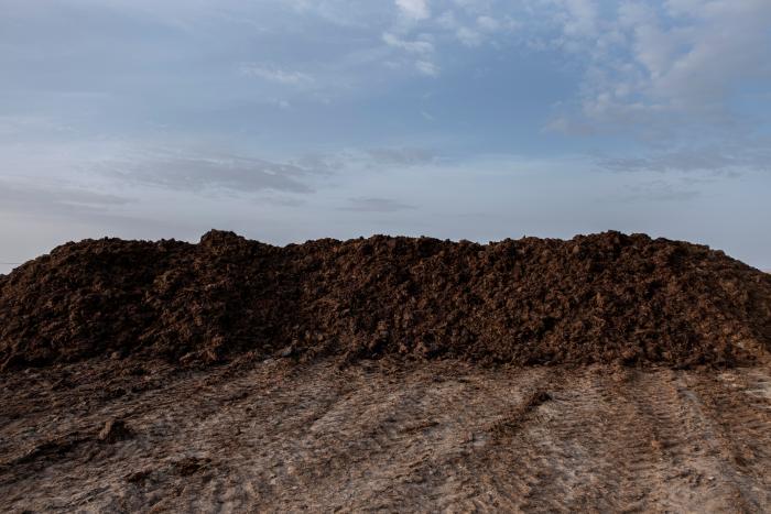 Los brotes de gripe aviar han obligado a sacrificar más de 269.000 aves este año