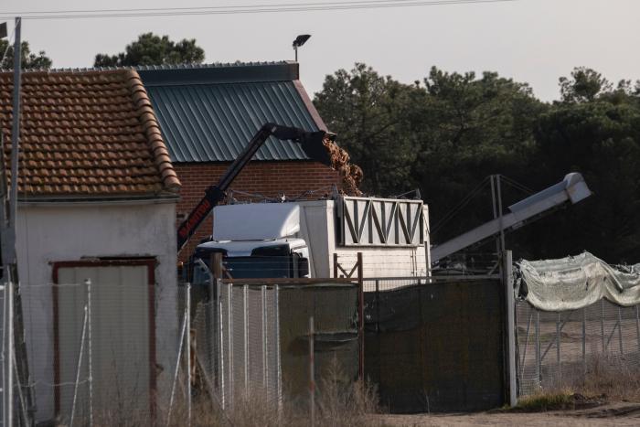 Los brotes de gripe aviar han obligado a sacrificar más de 269.000 aves este año