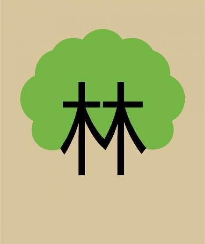 "Habilidades para la vida": los escolares chinos aprenderán cocina y limpieza