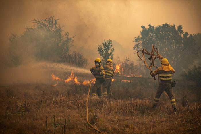 Estabilizado el incendio de Zamora, pero continúa activo y con riesgo de rebrote por el viento