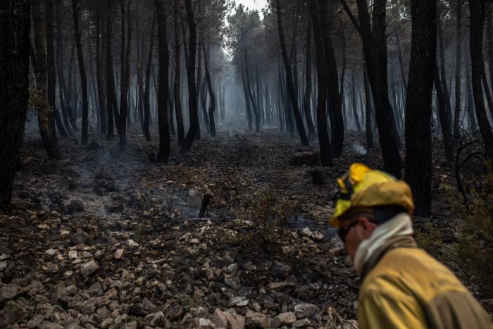 Estabilizado el incendio de Zamora, pero continúa activo y con riesgo de rebrote por el viento
