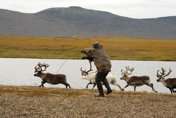 La dura vida de los últimos nómadas (FOTOS)