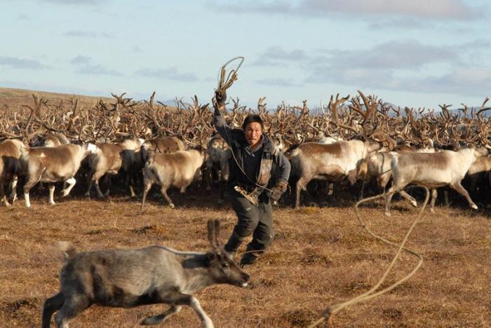 La dura vida de los últimos nómadas (FOTOS)