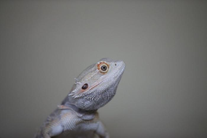 Las mejores fotos que nos deja esta semana