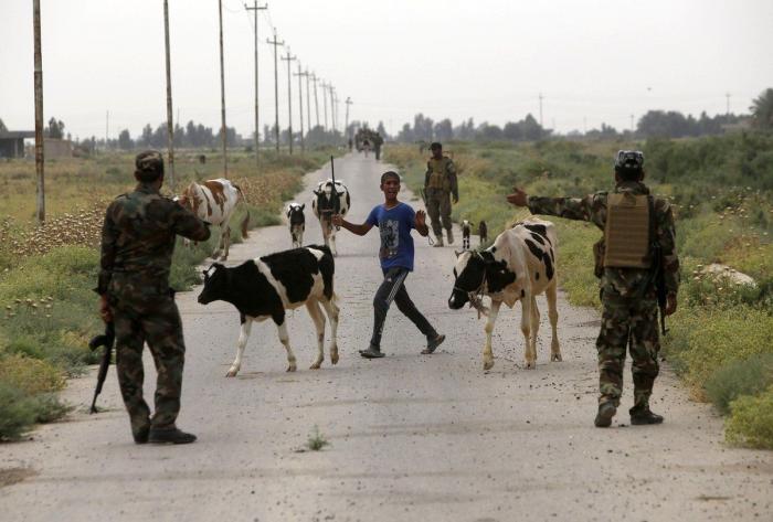 Las mejores fotos que nos deja esta semana