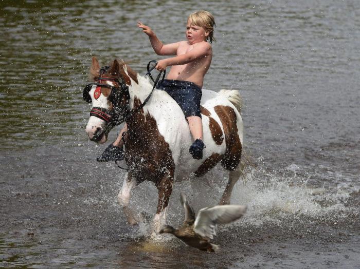 Las mejores fotos que nos deja esta semana