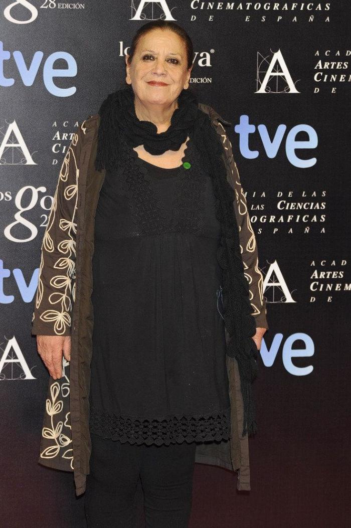 Puyas al gobierno y homenaje a Armiñán en la fiesta previa a los Goya 2014 (FOTOS)