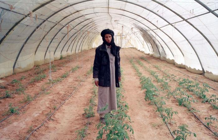 Benjamín Prado: “A quien llamamos dirigentes son en realidad gente que manda pero obedece a otros”