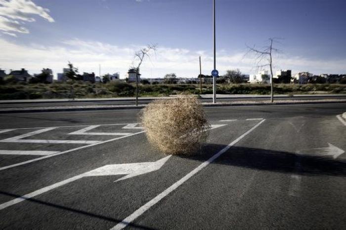 Crónicas del crisógeno: cuando las constructoras dominaban la tierra