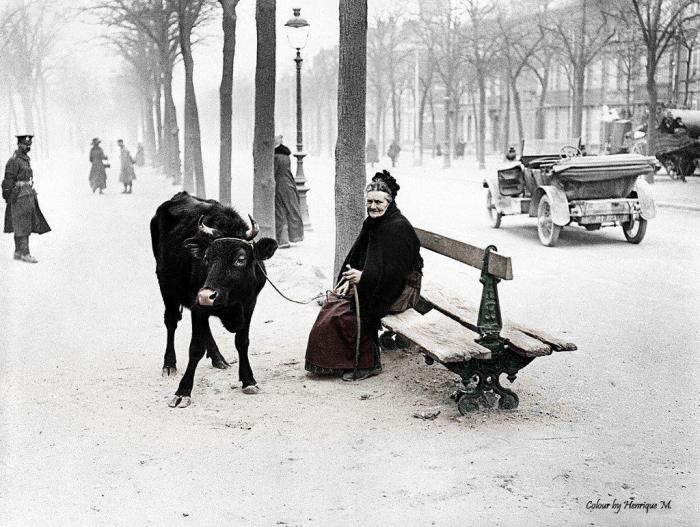 La Primera Guerra Mundial, a todo color (FOTOS)