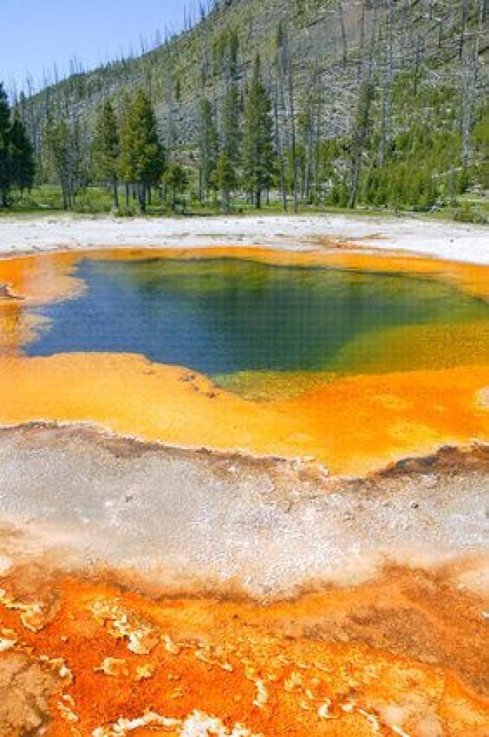 "No hay restos que recuperar" del joven que se cayó en un géiser en Yellowstone