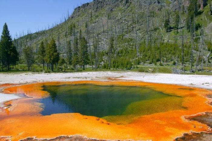 "No hay restos que recuperar" del joven que se cayó en un géiser en Yellowstone