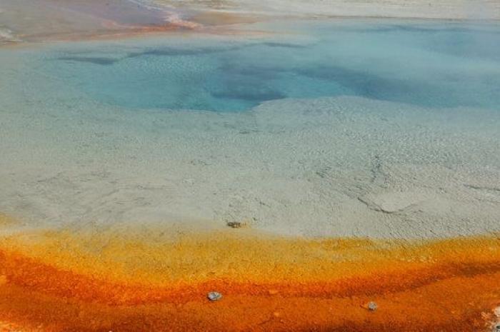 "No hay restos que recuperar" del joven que se cayó en un géiser en Yellowstone