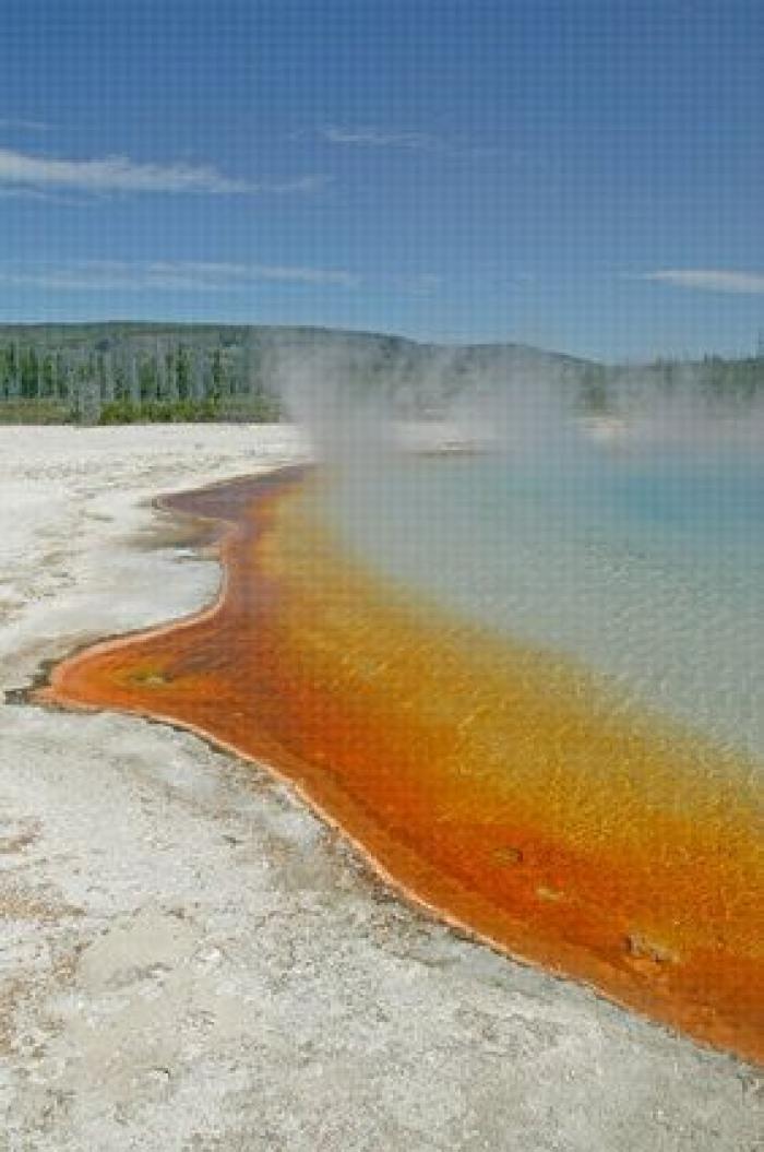 "No hay restos que recuperar" del joven que se cayó en un géiser en Yellowstone
