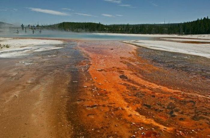 "No hay restos que recuperar" del joven que se cayó en un géiser en Yellowstone
