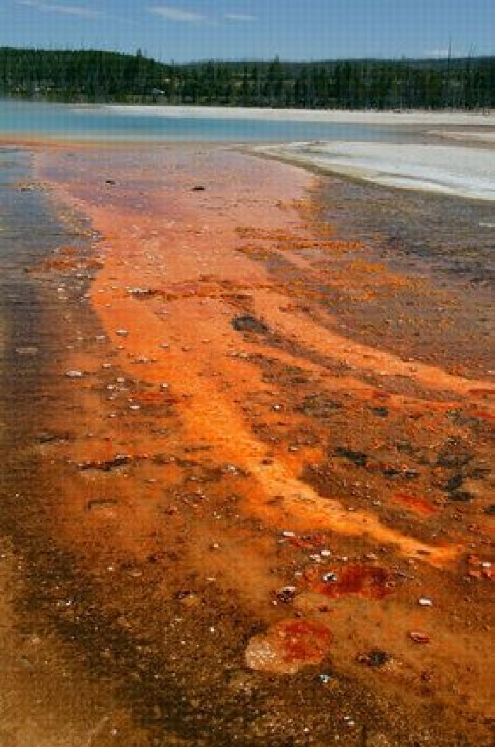 "No hay restos que recuperar" del joven que se cayó en un géiser en Yellowstone