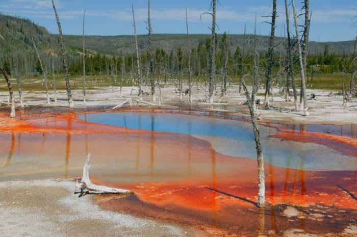 "No hay restos que recuperar" del joven que se cayó en un géiser en Yellowstone