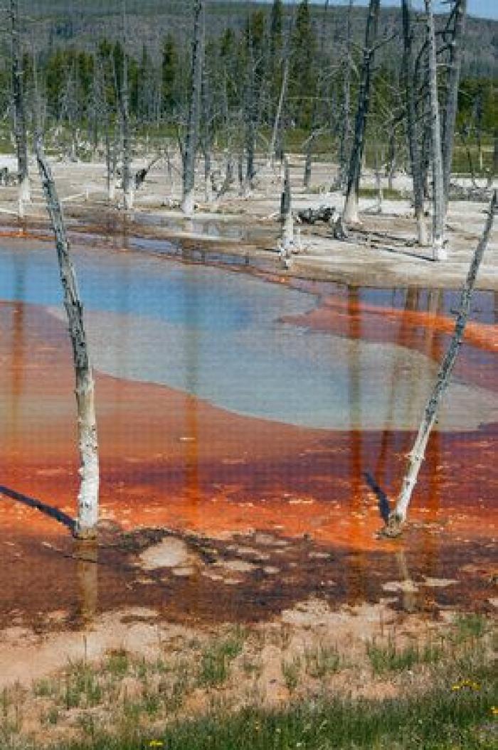 "No hay restos que recuperar" del joven que se cayó en un géiser en Yellowstone