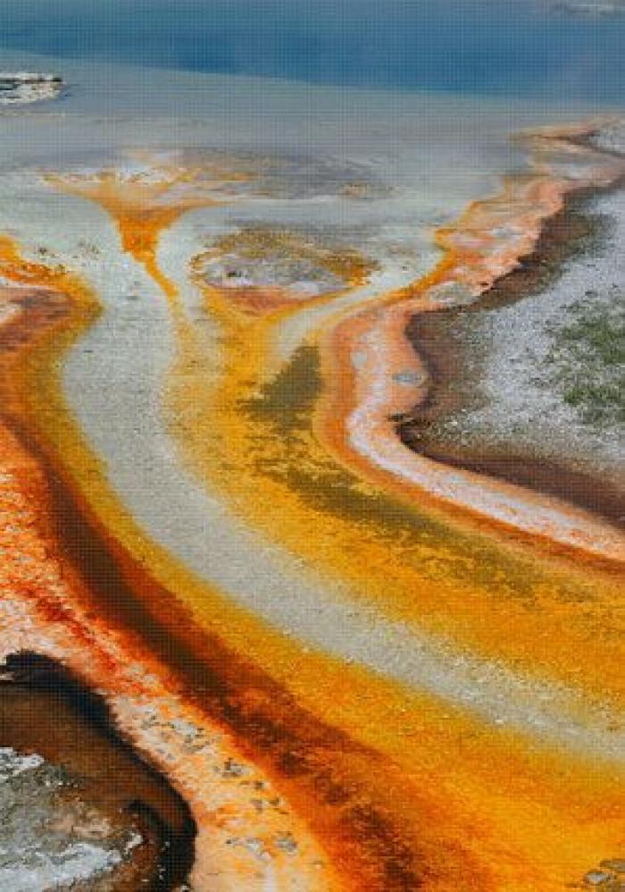 "No hay restos que recuperar" del joven que se cayó en un géiser en Yellowstone