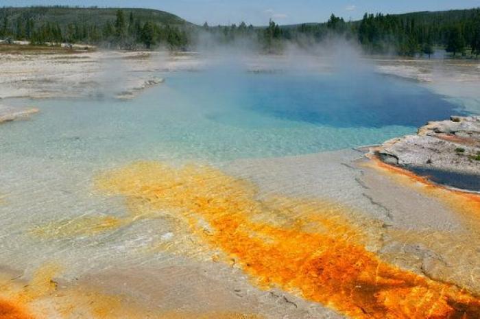 "No hay restos que recuperar" del joven que se cayó en un géiser en Yellowstone