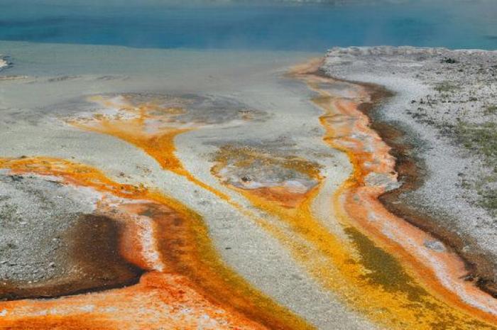 "No hay restos que recuperar" del joven que se cayó en un géiser en Yellowstone