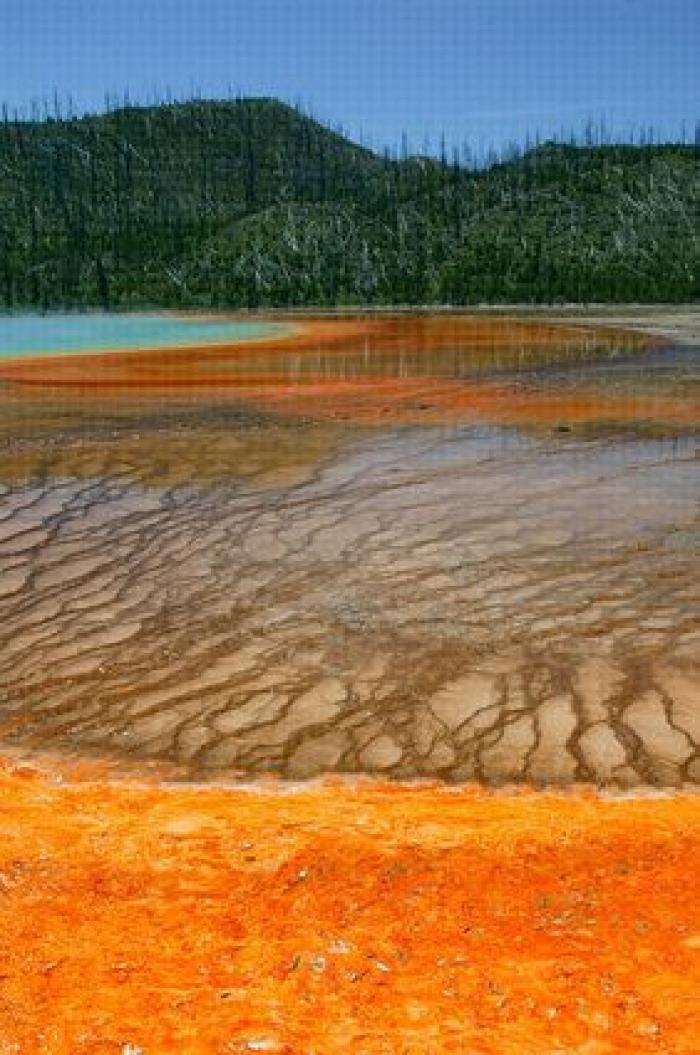 "No hay restos que recuperar" del joven que se cayó en un géiser en Yellowstone