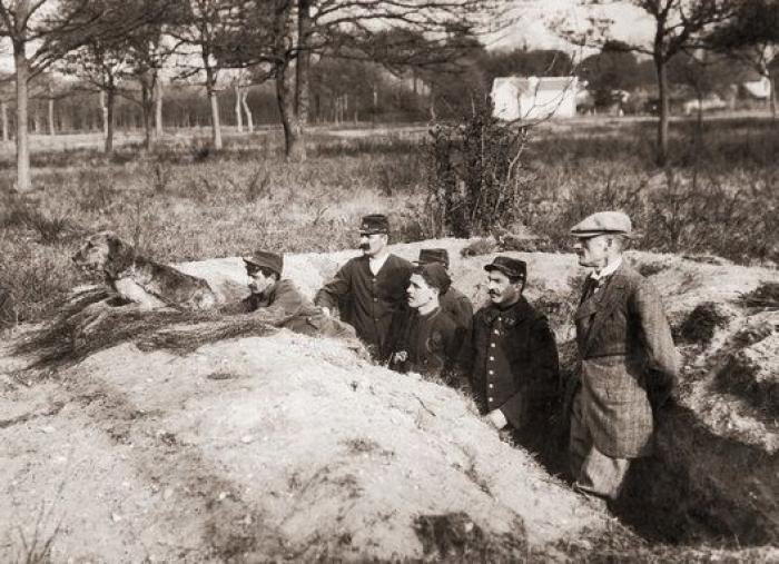 20 increíbles imágenes de animales en la Primera Guerra Mundial (FOTOS)