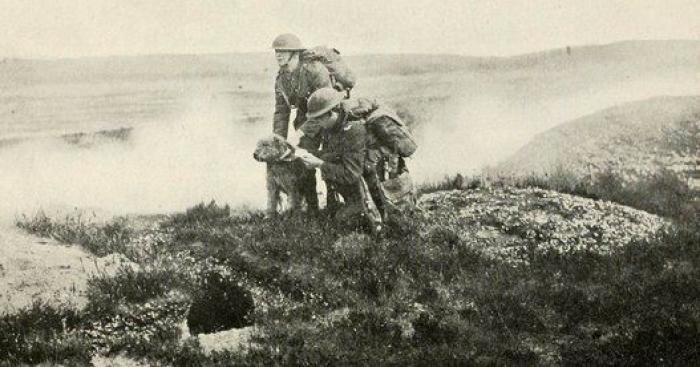20 increíbles imágenes de animales en la Primera Guerra Mundial (FOTOS)