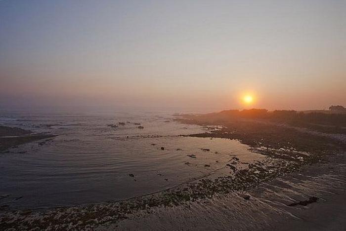La impactante imagen que vio una periodista de Antena 3 en el Camino de Santiago