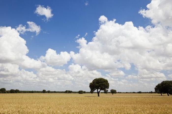 La impactante imagen que vio una periodista de Antena 3 en el Camino de Santiago