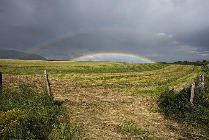 La impactante imagen que vio una periodista de Antena 3 en el Camino de Santiago