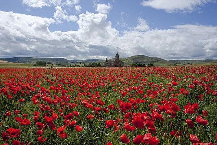 La impactante imagen que vio una periodista de Antena 3 en el Camino de Santiago