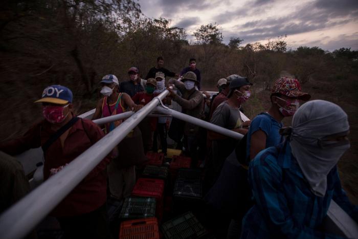Lecciones y aprendizajes de un año de pandemia