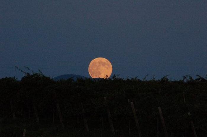 Perseidas 2014: guía para disfrutar de las Lágrimas de San Lorenzo