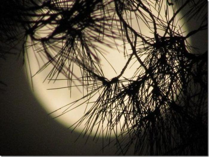 Perseidas 2014: guía para disfrutar de las Lágrimas de San Lorenzo