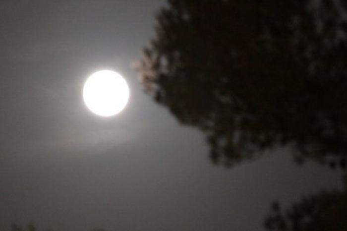 Perseidas 2014: guía para disfrutar de las Lágrimas de San Lorenzo