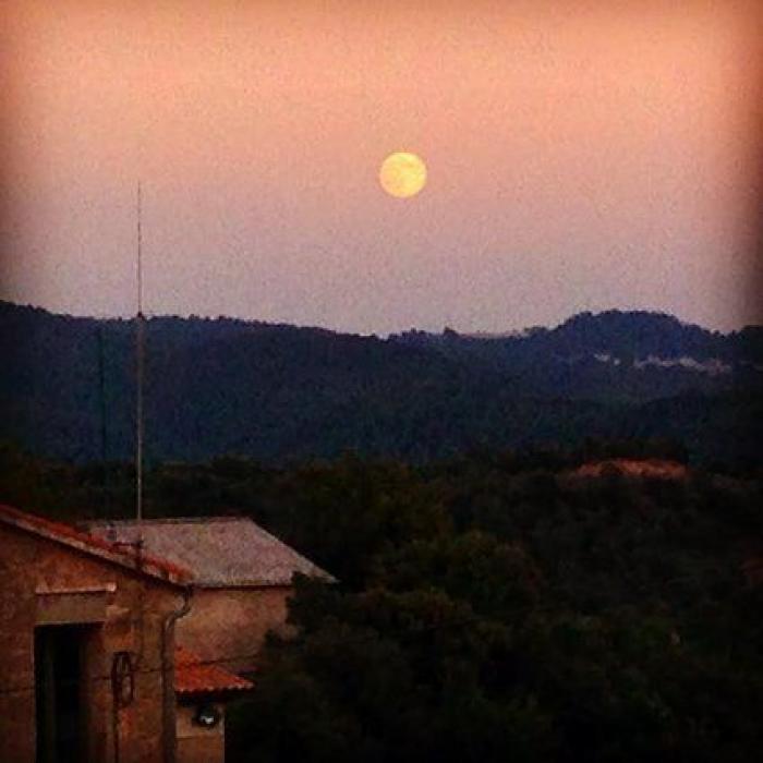 Perseidas 2014: guía para disfrutar de las Lágrimas de San Lorenzo