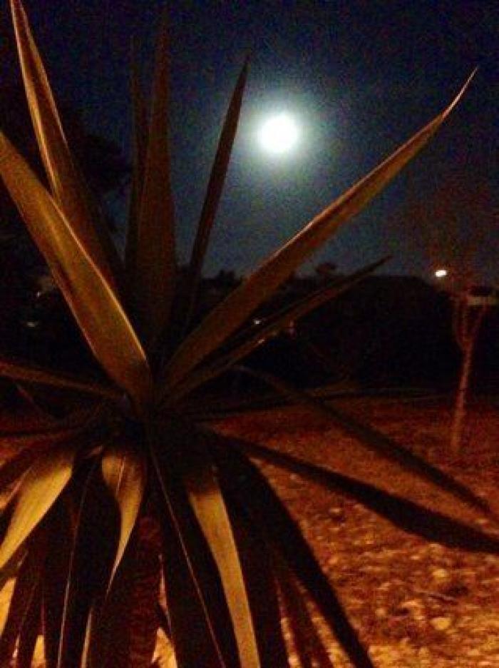 Perseidas 2014: guía para disfrutar de las Lágrimas de San Lorenzo