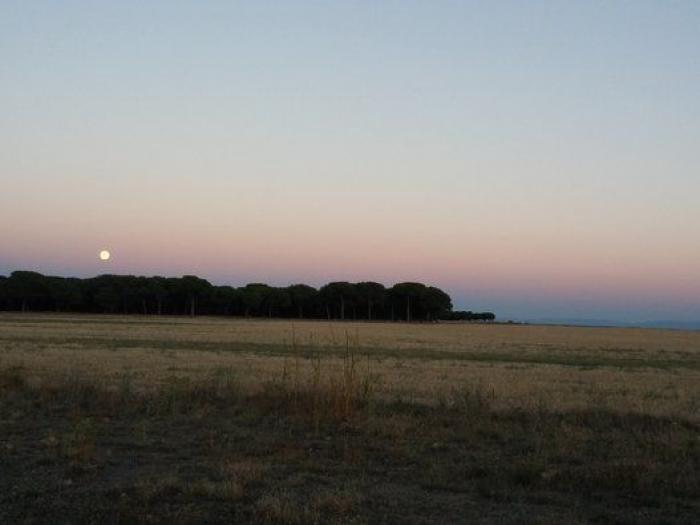 Perseidas 2014: guía para disfrutar de las Lágrimas de San Lorenzo