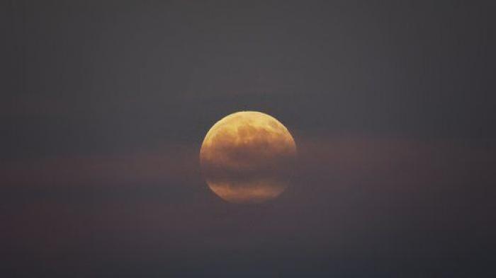 Perseidas 2014: guía para disfrutar de las Lágrimas de San Lorenzo