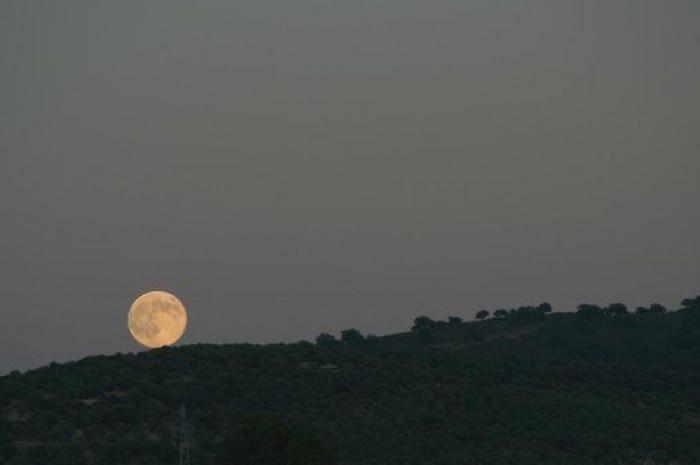 Perseidas 2014: guía para disfrutar de las Lágrimas de San Lorenzo