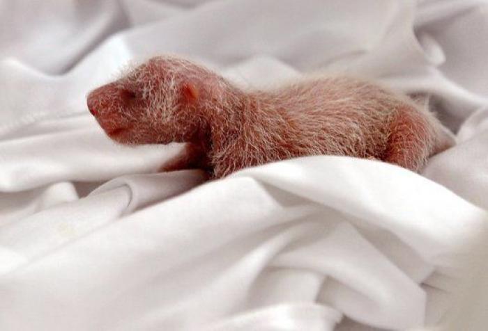 Un supermercado escandaliza al mundo al prohibir la entrada a "jóvenes negros y a perros"