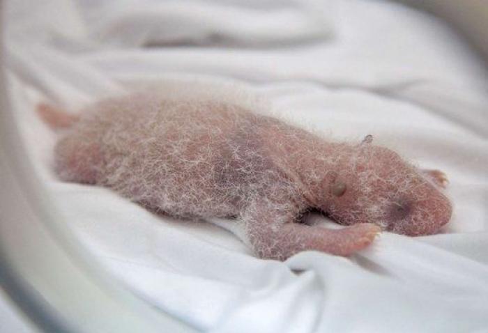 Un supermercado escandaliza al mundo al prohibir la entrada a "jóvenes negros y a perros"