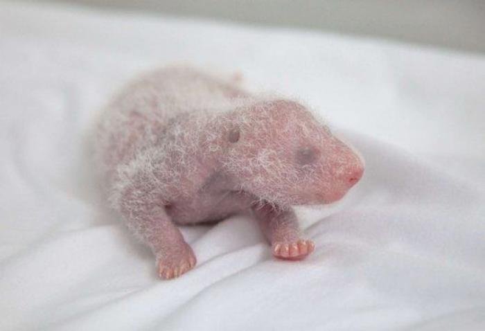 Un supermercado escandaliza al mundo al prohibir la entrada a "jóvenes negros y a perros"