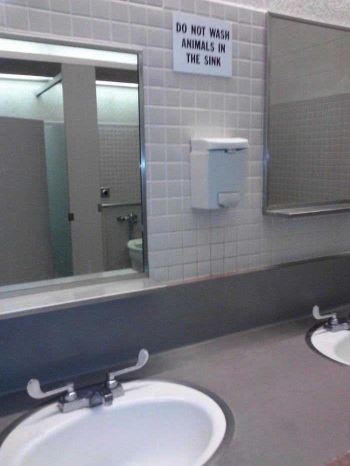 Lee esto si haces pis ‘por si acaso’ aunque no tengas ganas