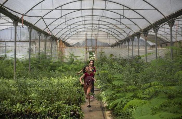 11 imágenes de Gaza durante el alto el fuego (FOTOS)