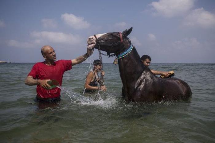 11 imágenes de Gaza durante el alto el fuego (FOTOS)